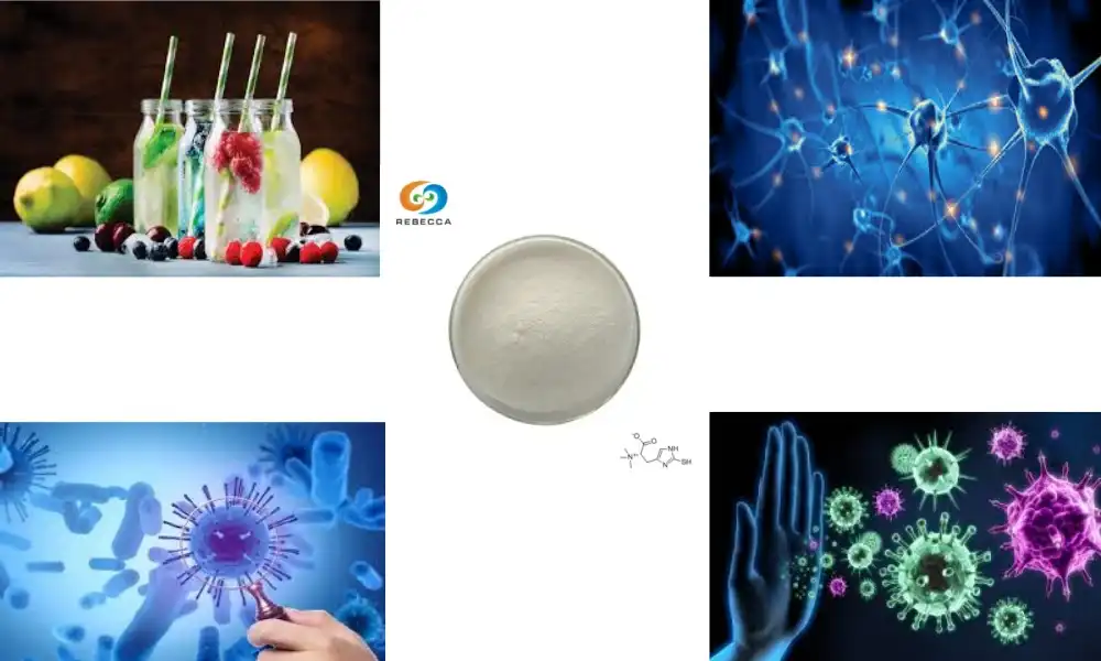 2025 Best L-ergothioneine Powder​ Recommendations for buying in bulk - Rebecca